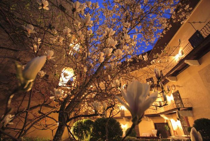 Schlosshotel Obermayerhofen 세베르스도르프 외부 사진