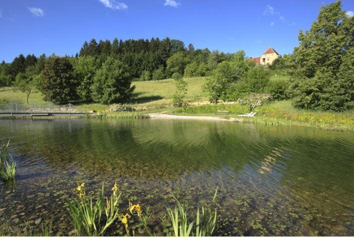 Schlosshotel Obermayerhofen 세베르스도르프 외부 사진